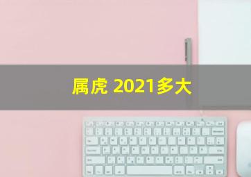 属虎 2021多大